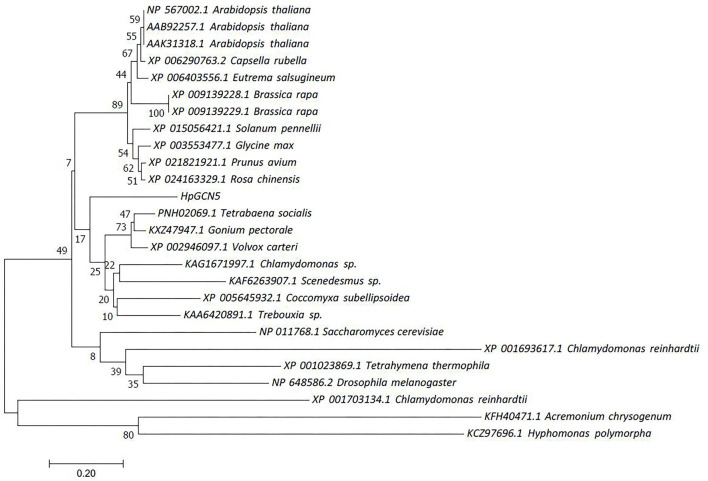 Figure 3