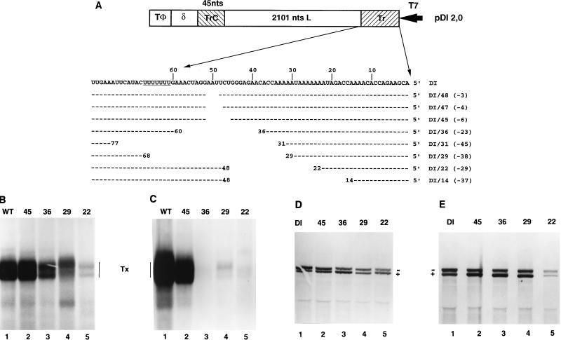 FIG. 6