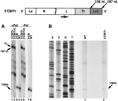 FIG. 5