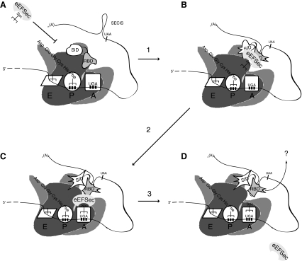 FIG. 4.