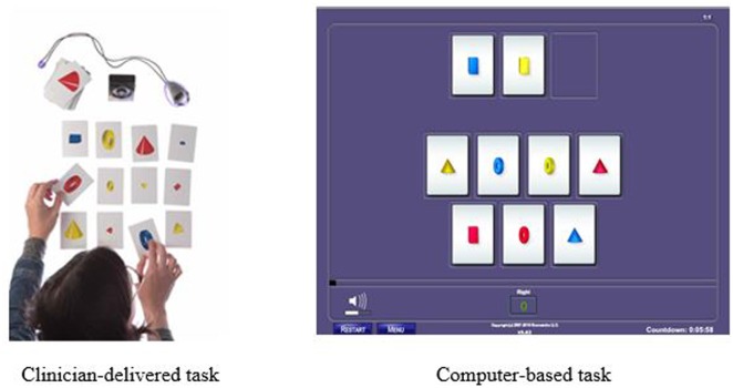 FIGURE 1