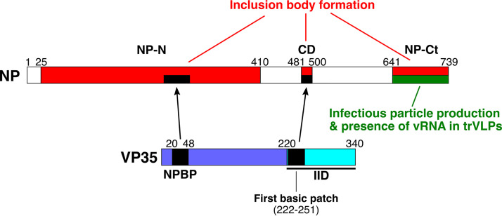 FIG 8