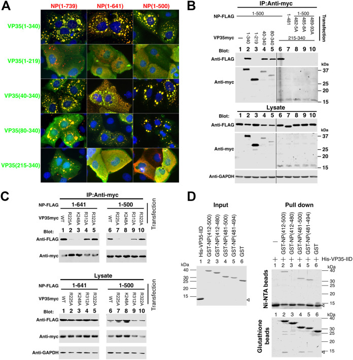 FIG 6