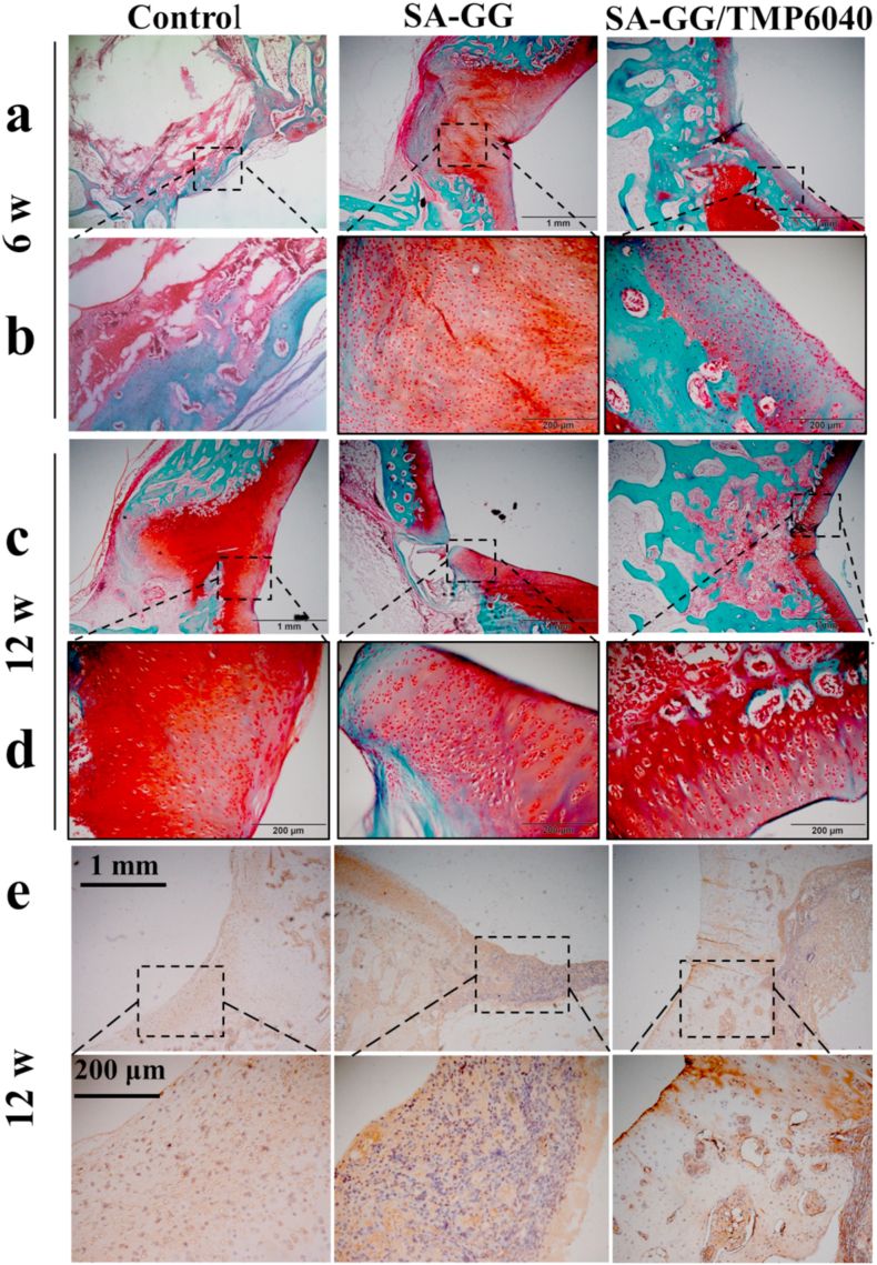 Fig. 11