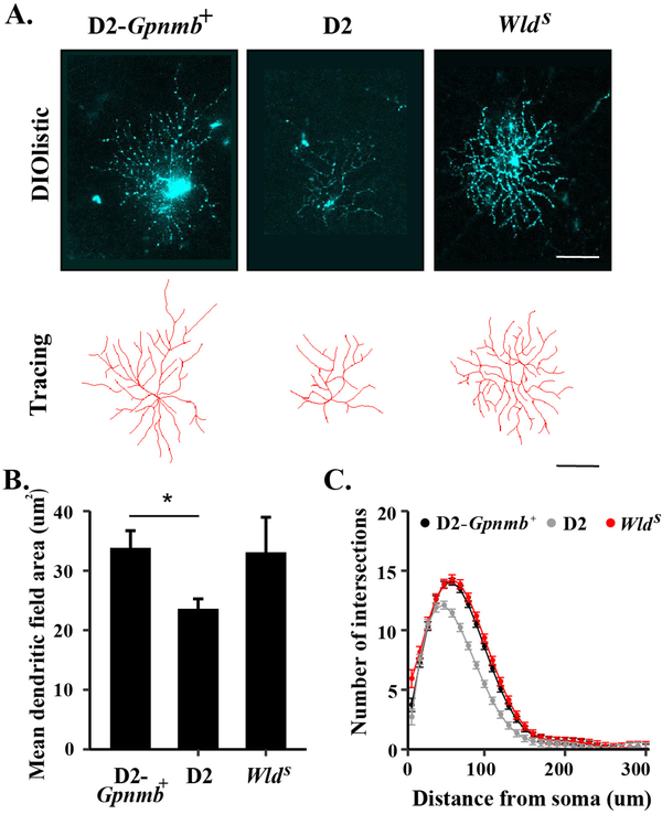 Figure 6: