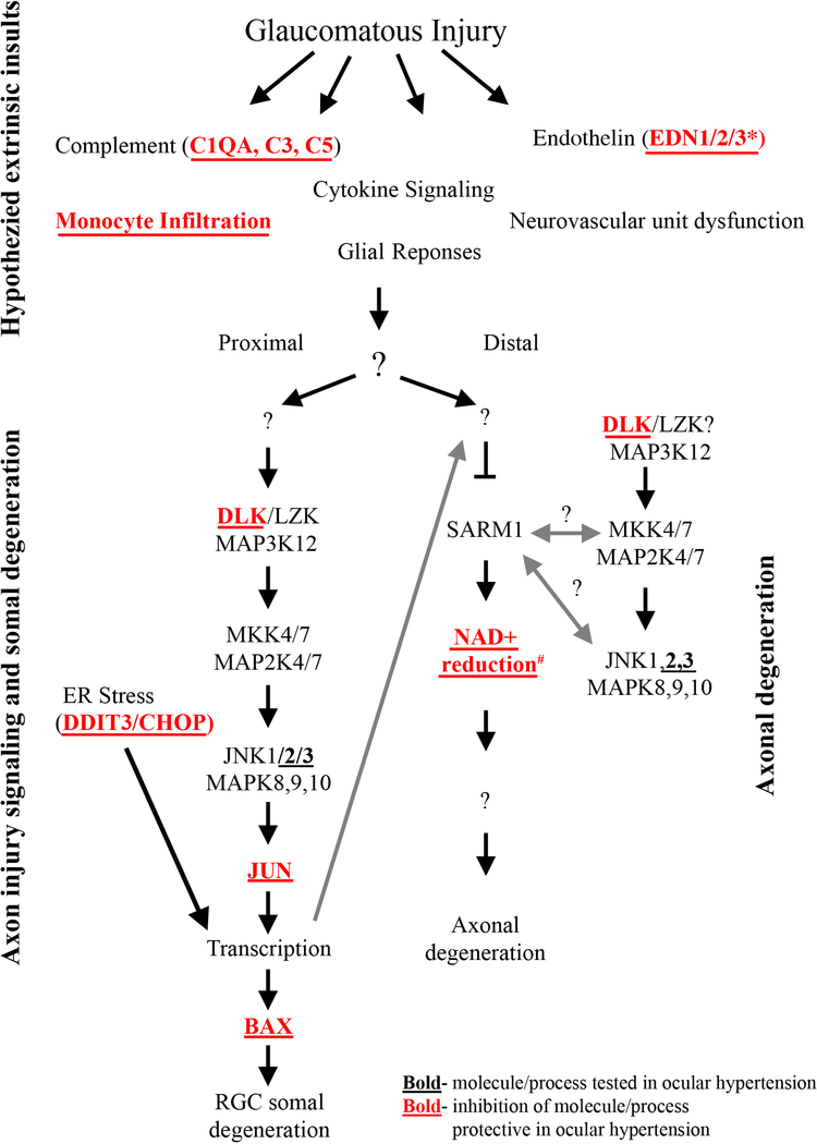 Figure 7: