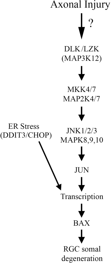 Figure 3: