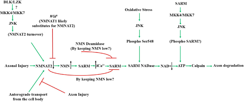 Figure 5: