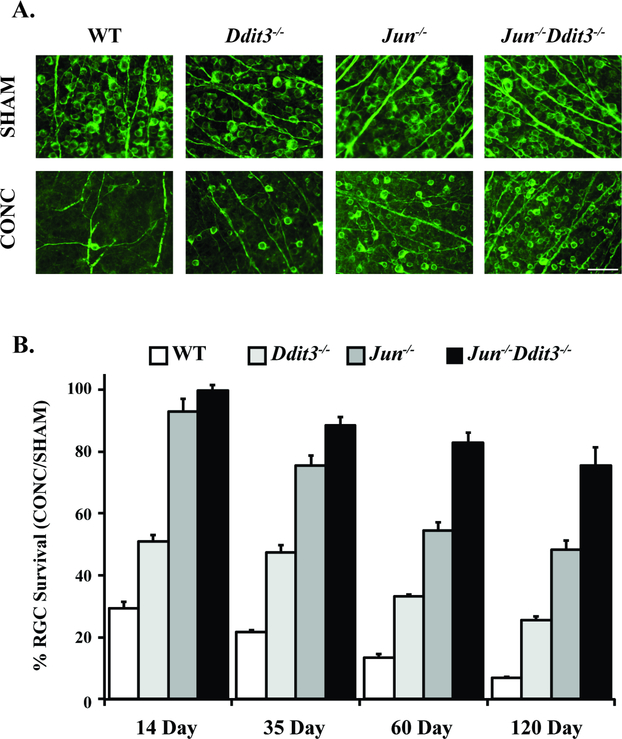 Figure 4: