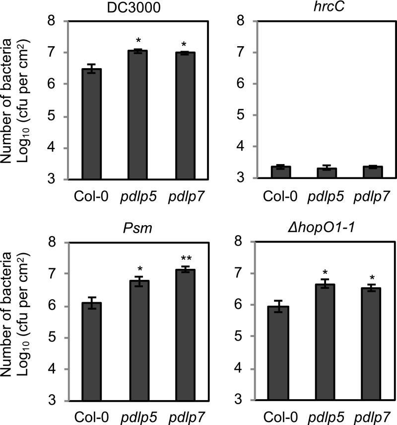 Figure 7.