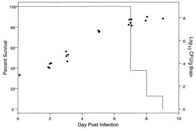 FIG. 1