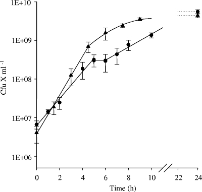 FIG. 1.