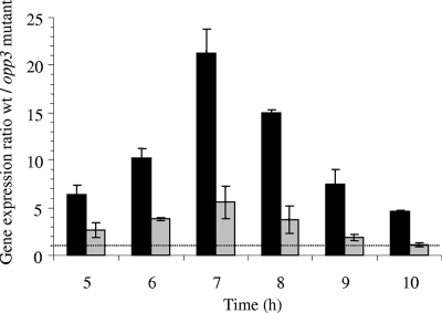 FIG. 3.