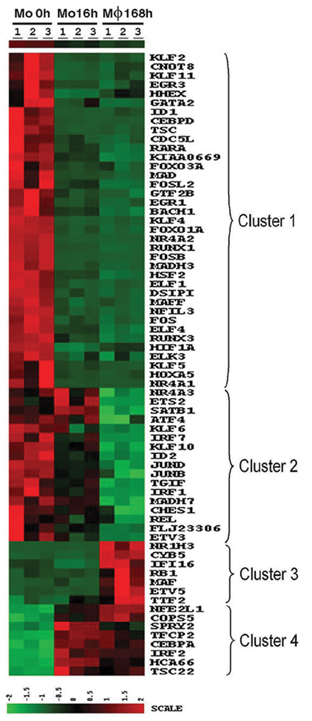 Figure 6