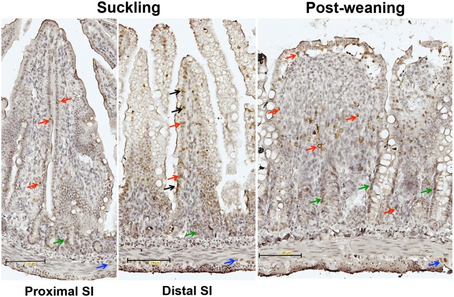 Fig 8