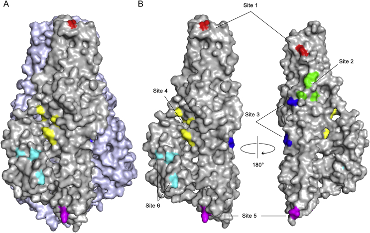 Fig. 6