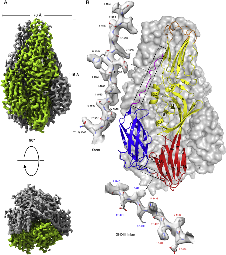 Fig. 3