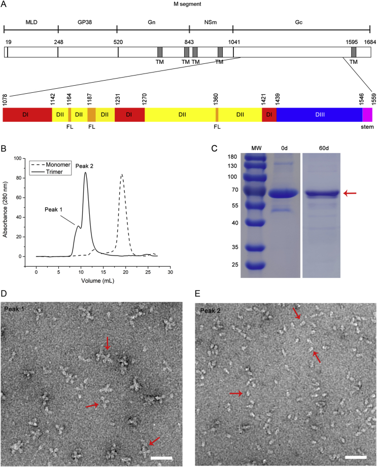 Fig. 1