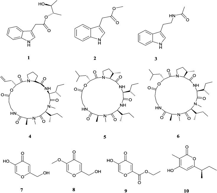 Fig. 3