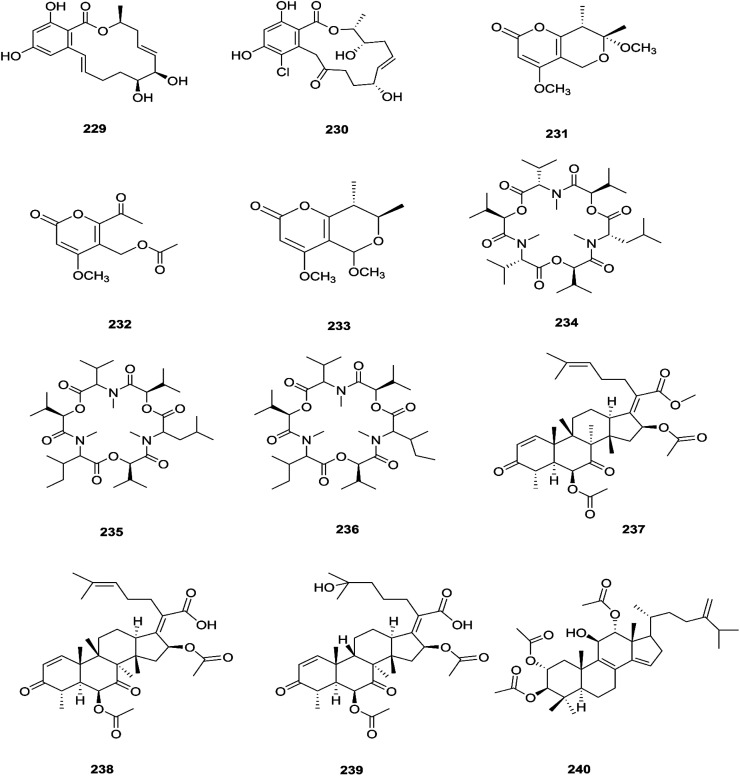 Fig. 20