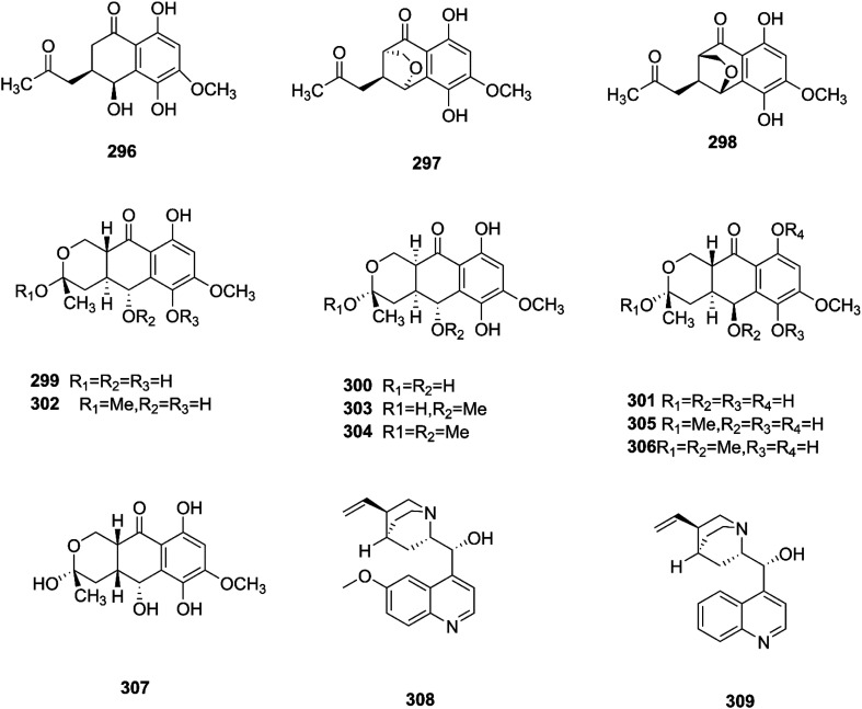 Fig. 24