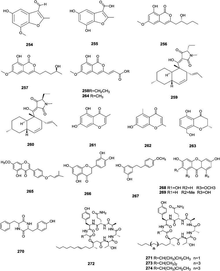 Fig. 22