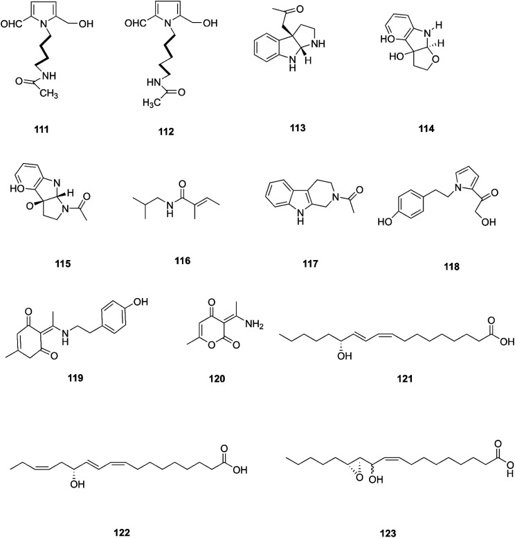 Fig. 12