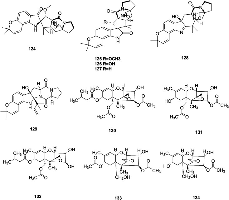 Fig. 13