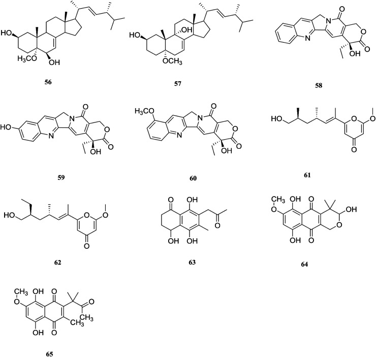 Fig. 8