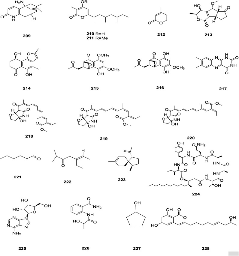 Fig. 19