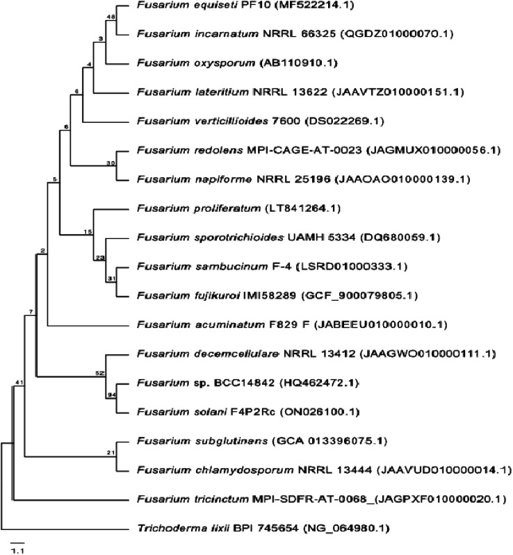 Fig. 2