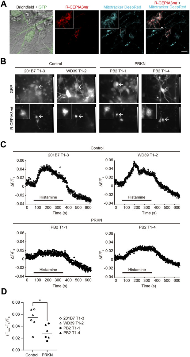 FIGURE 4