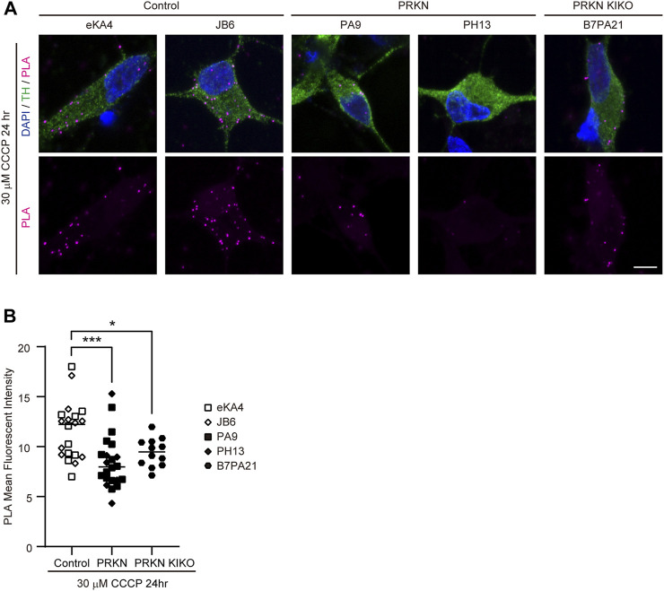 FIGURE 3