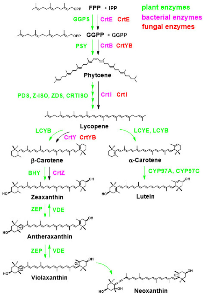 Figure 10