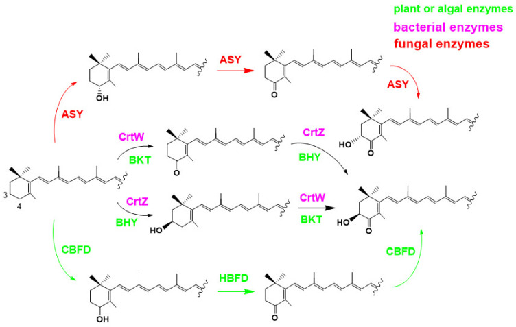 Figure 11