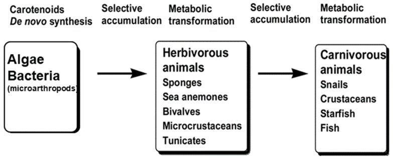 Figure 14