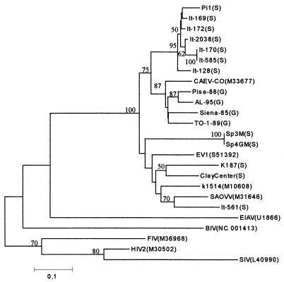 FIG. 1.