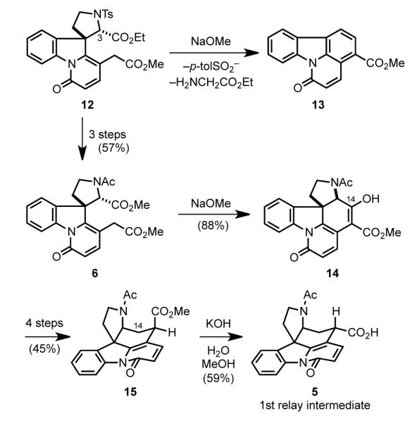 Scheme 5
