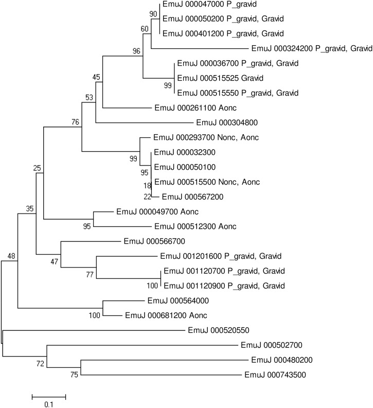 Fig 5