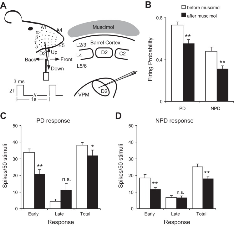 Fig. 9.