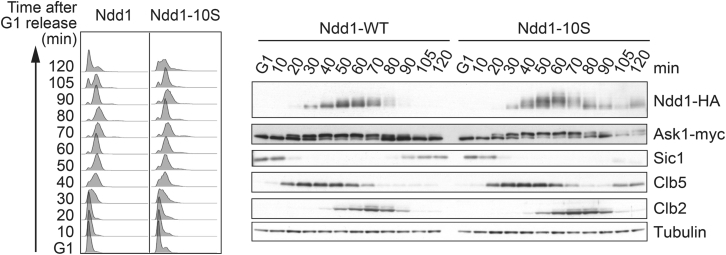 Figure 4