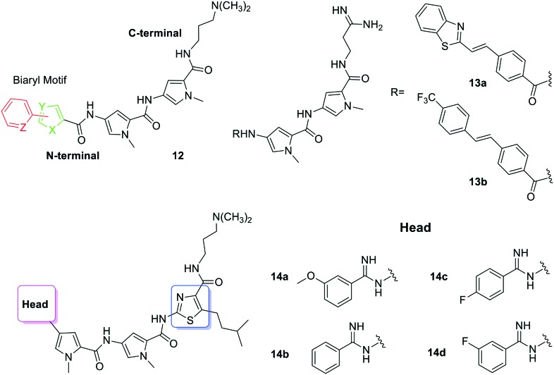 Fig. 8