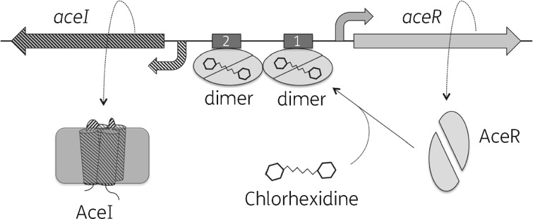 Figure 8.