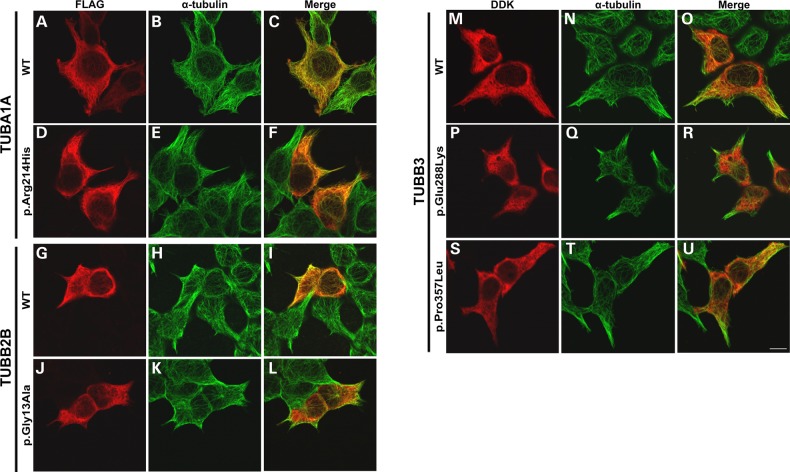 Figure 3.