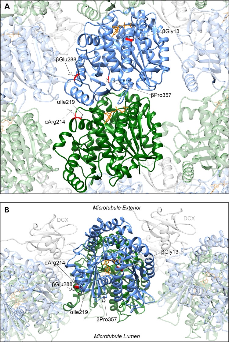 Figure 2.