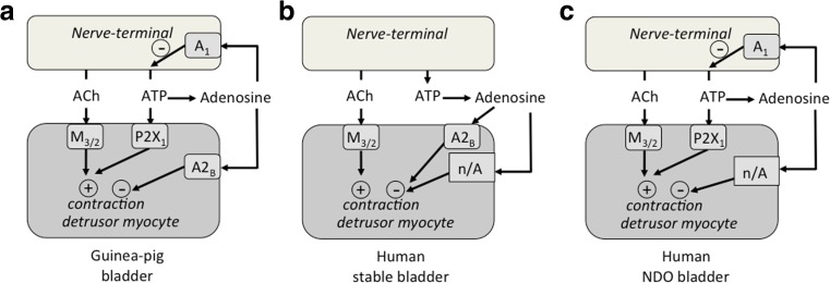 Fig 7