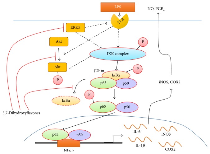 Figure 7