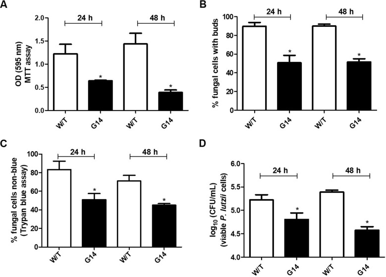 FIG 4