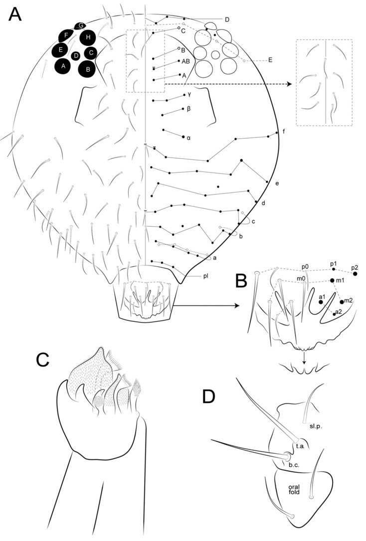 Figure 9