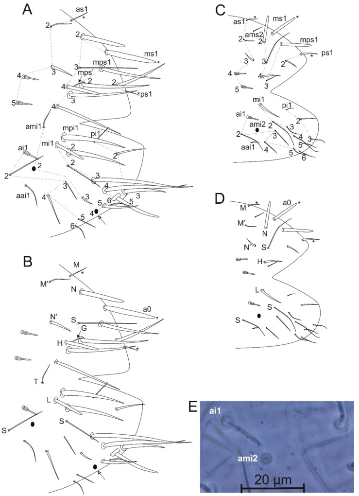 Figure 23